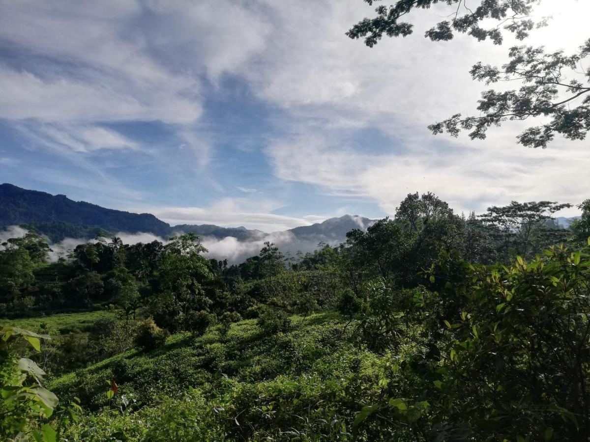 Sunil'S Homestay Sinharaja Kalawana エクステリア 写真