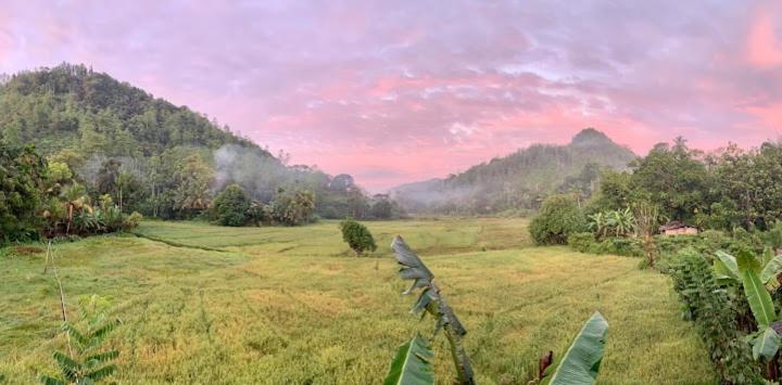 Sunil'S Homestay Sinharaja Kalawana エクステリア 写真